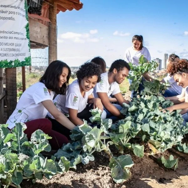 Adesão ao programa de cidadania e sustentabilidade começa 16/3